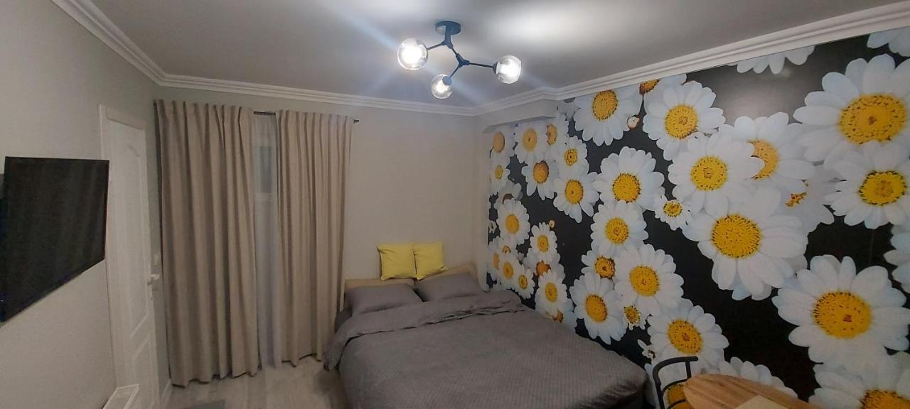 Apartment Dado